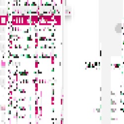 Keinler's Pig Rotation Laboratory