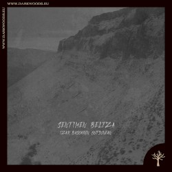 Izar basoaren hutsunean