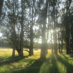 An Afternoon at Pinole Shores Park