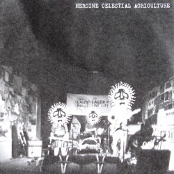 Pilot Wash (Herod the Great)