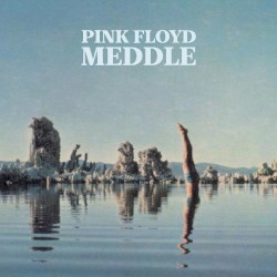Meddle