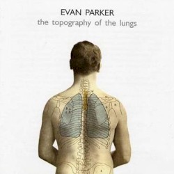 The Topography of the Lungs