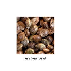seed