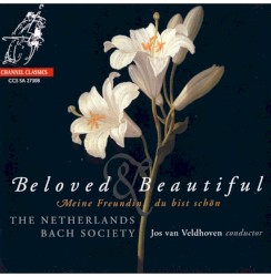 Beloved & Beautiful: Meine Freundin, du bist schön