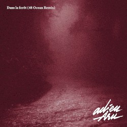 Dans la forêt (48 Ocean Remix)