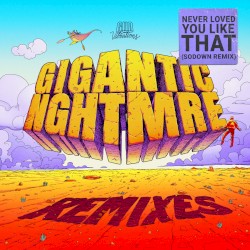 Never Loved You Like That (SoDown remix)