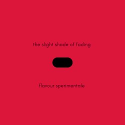 The Slight Shade Of Fading