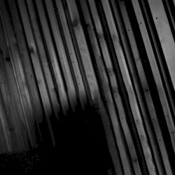 folklore: the long pond studio sessions