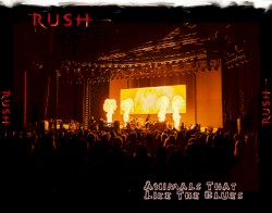 Animals That Like the Blues