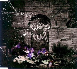 Wailing Wall