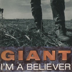 I’m a Believer
