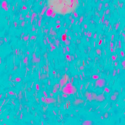 はじめましての気持ちを