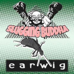 earwig