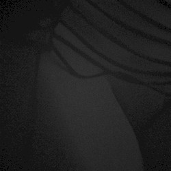 White Label Renegade