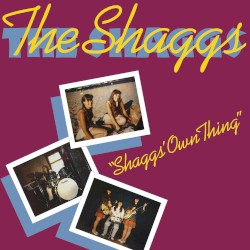 Shaggs' Own Thing