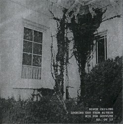 Looking Out From Within