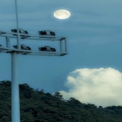 JUDAS (Phantaszz remix)