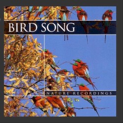 Nature Recordings: Birdsong