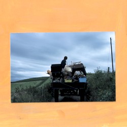 Making Peace With What Is - Part (iii)