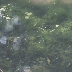 Places Real and Imagined