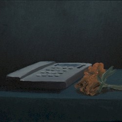 We Are in the Shadow of a Distant Fire