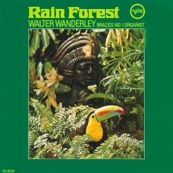 Rain Forest