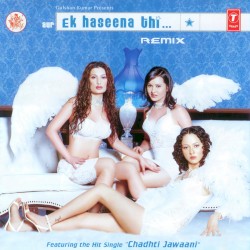 Aur Ek Haseena Thi...