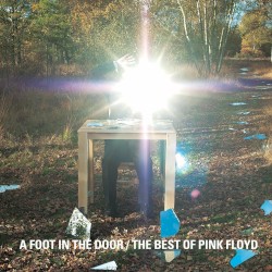 A Foot in the Door: The Best of Pink Floyd