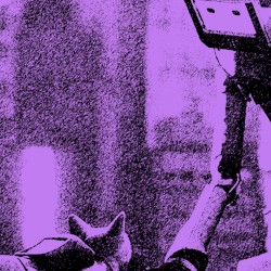 Dream In Static (Stray song)