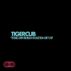 The Divided States of Us