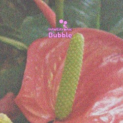 Anthurium 002