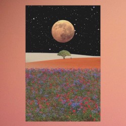 When the Dust Settles