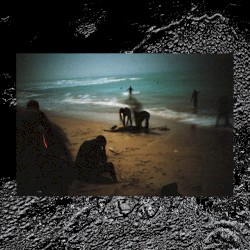 Héroïques animaux de la misère