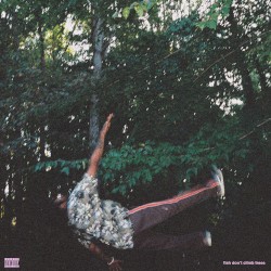 fish don't climb trees