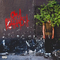 Owl Pharaoh