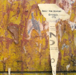 Entropic City