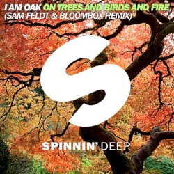 On Trees and Birds and Fire (Sam Feldt & Bloombox remix)