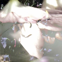 Ver a través de tus ojos