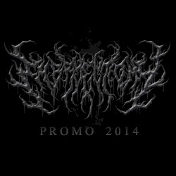 Promo 2014