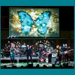 A Stone’s Throw From the Line