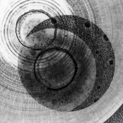 Live at the Wilde Auditorium, West-Hartford USA. November 6th 2000