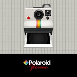 Polaroid Visions