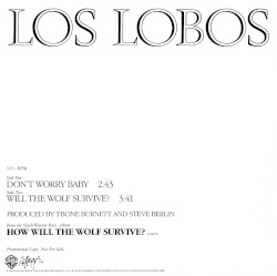 Don't Worry Baby / Will The Wolf Survive?