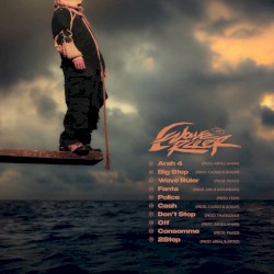 Wave Ruler