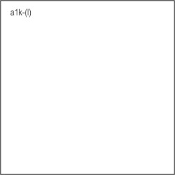 a1k-(l)