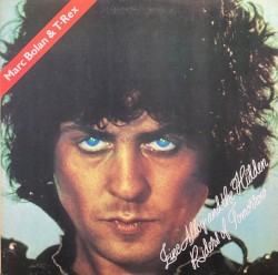 Zinc Alloy and the Hidden Riders of Tomorrow or a Creamed Cage in August