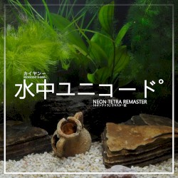 水中ユニコード˚ [ NEON TETRA REMASTER ]