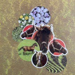 Felony of Seeds - Live Burn 12 - Louisville, KY - 05/08/2023