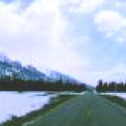 kit9: i am having a good day!