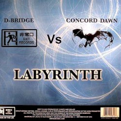 Labyrinth / Daylight